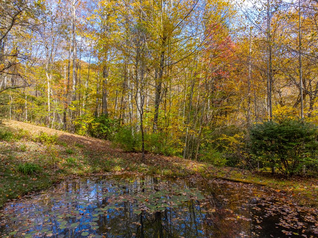 507 Angel Fields Road