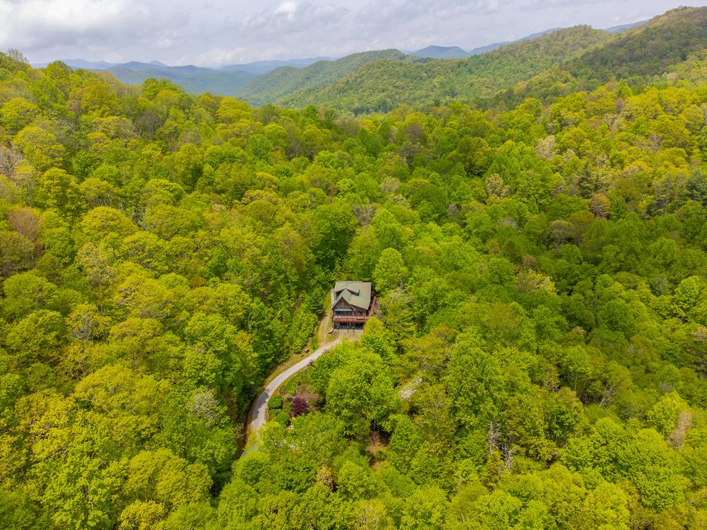 507 Angel Fields Road