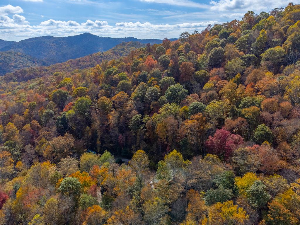 507 Angel Fields Road