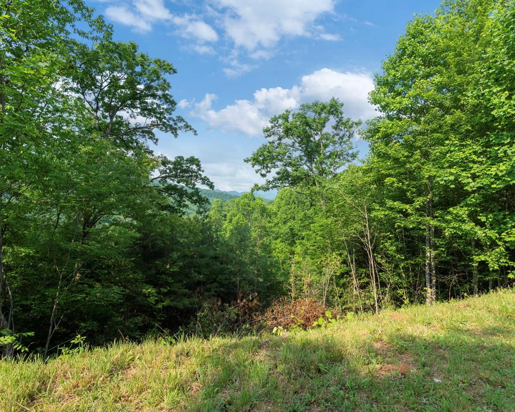Lot 11 Silvercrest Road