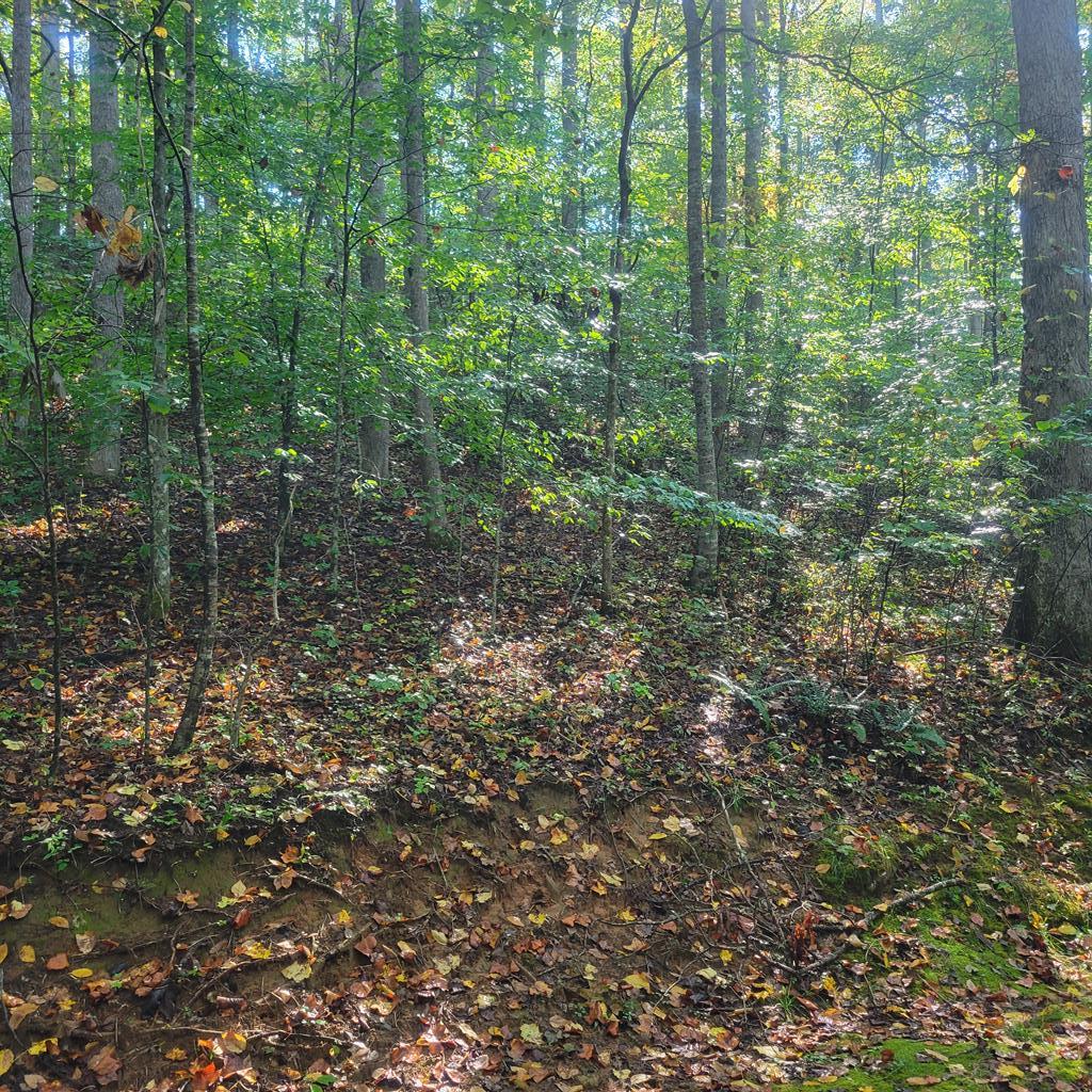 Lot 12 Carolina Springs