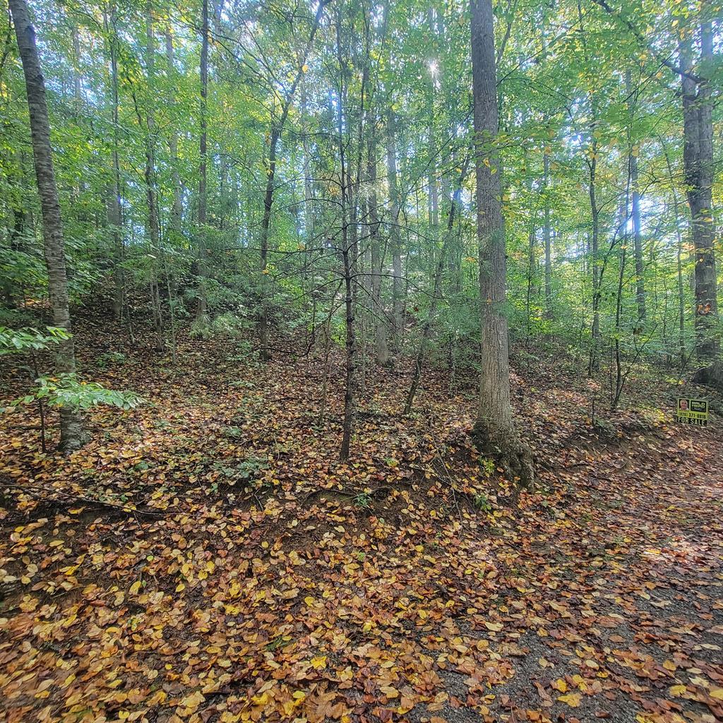 Lot 12 Carolina Springs