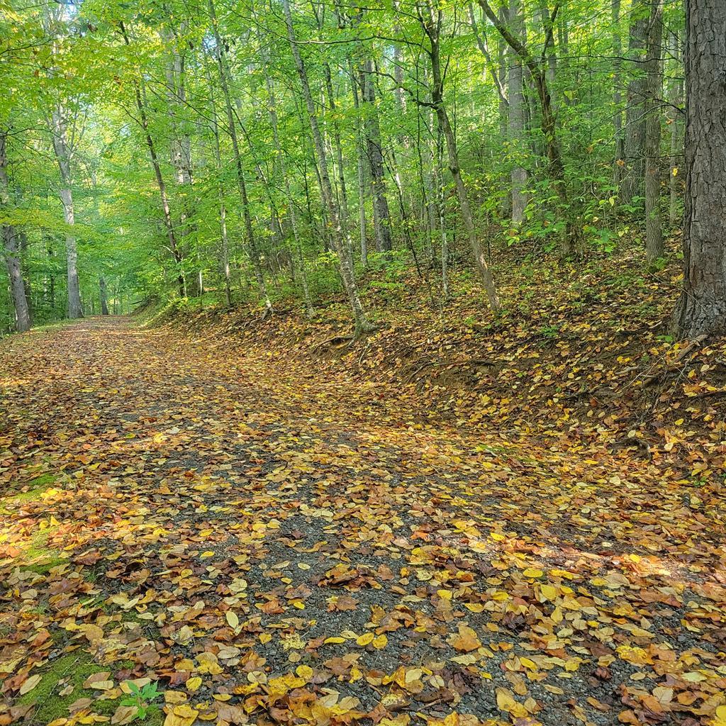 Lot 12 Carolina Springs