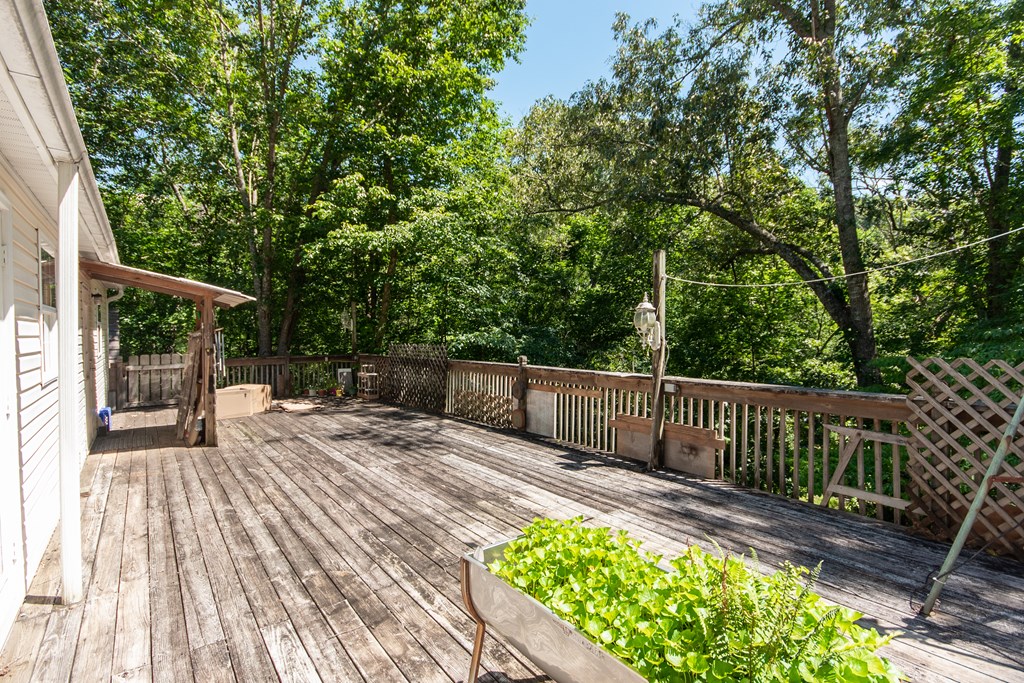 113 Old Clarks Chapel Rd.