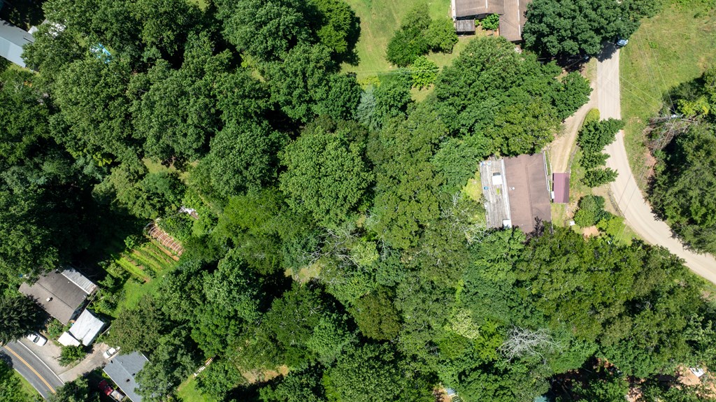 113 Old Clarks Chapel Rd.