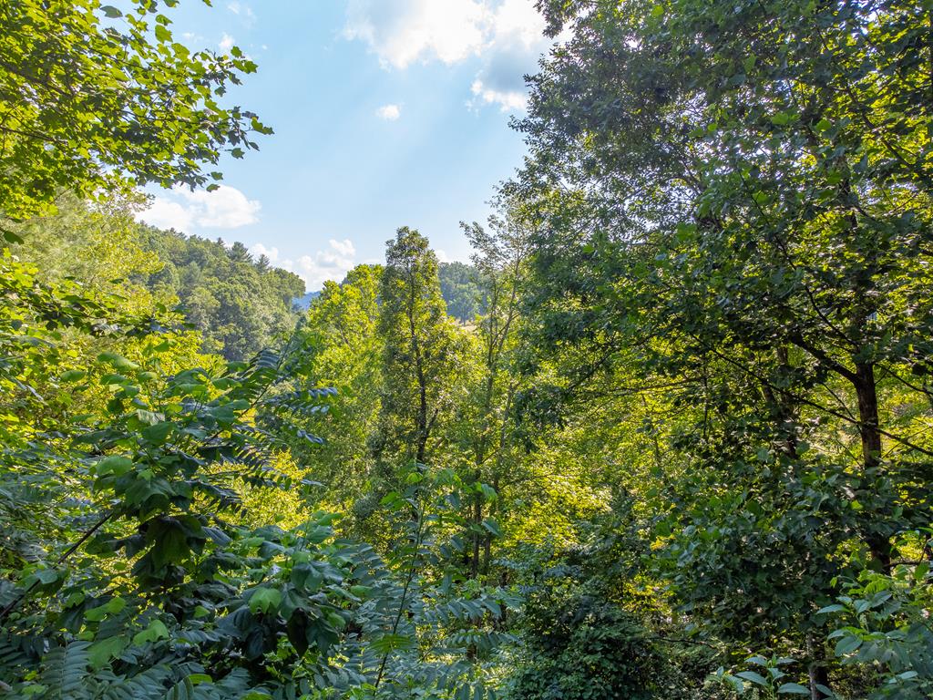 711 Roller Mill Road