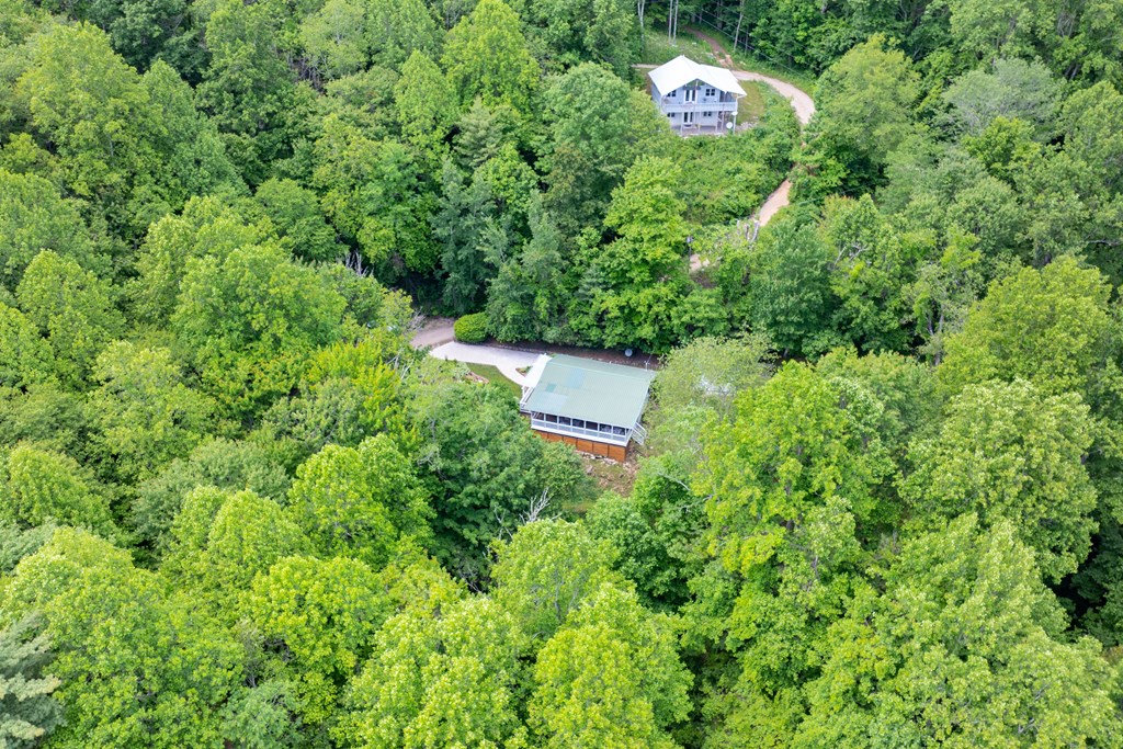 743 Little Hog Back Mountain Lane