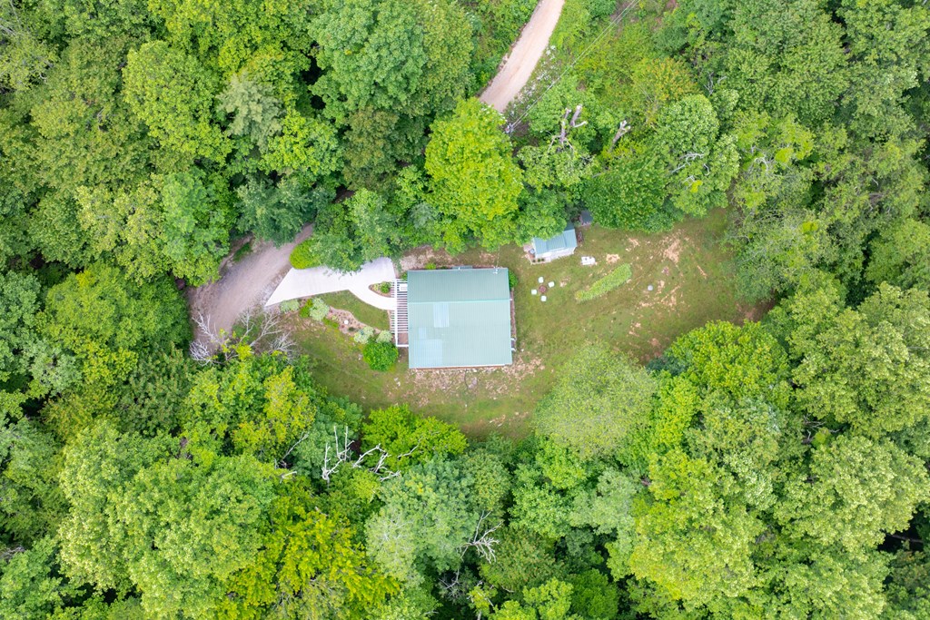 743 Little Hog Back Mountain Lane
