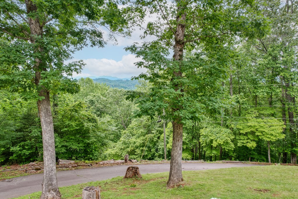 220 Bear Mountain Road