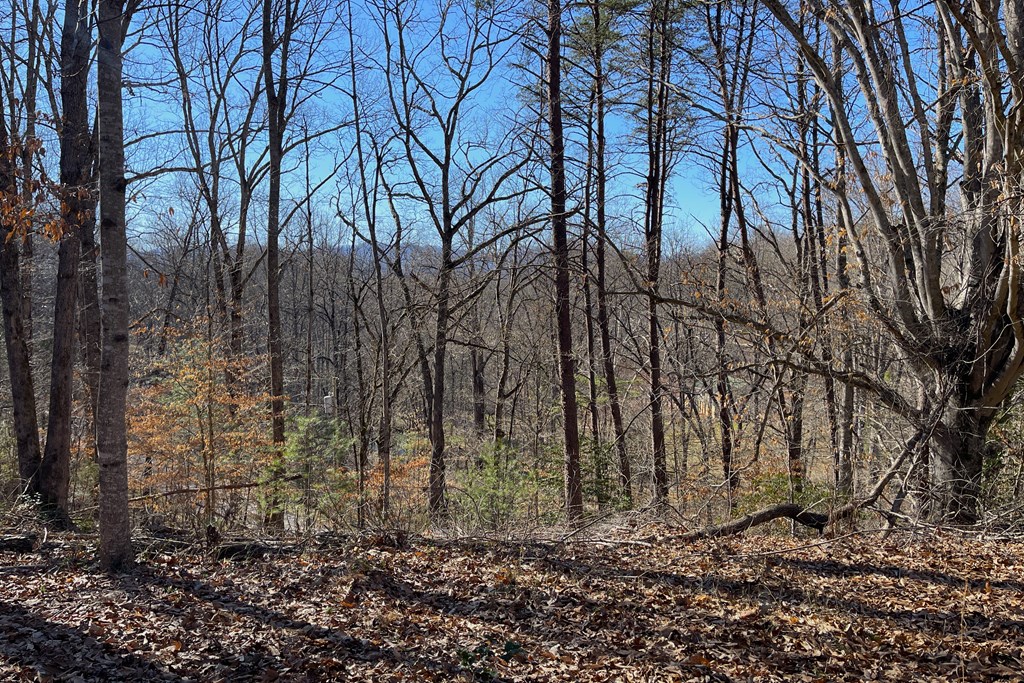 220 Bear Mountain Road