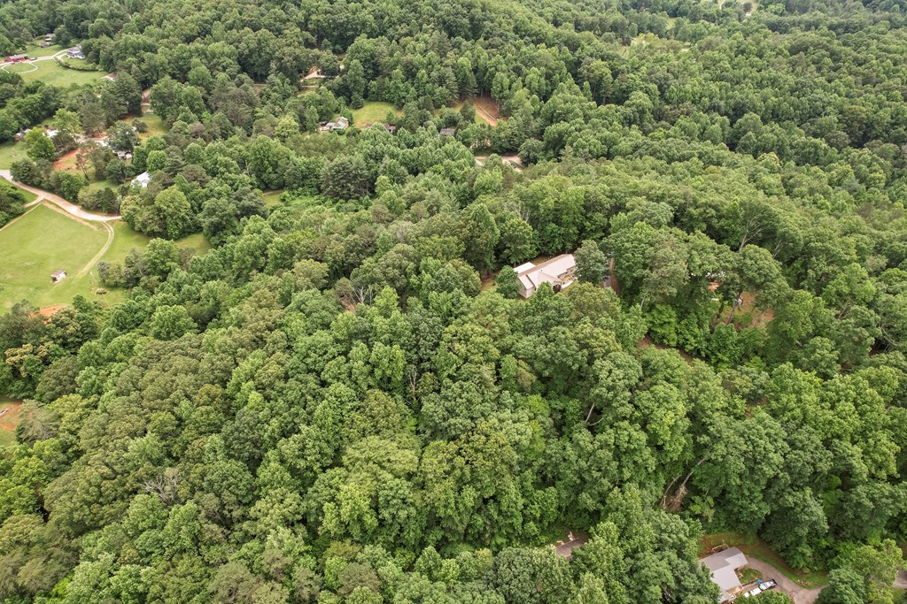 220 Bear Mountain Road