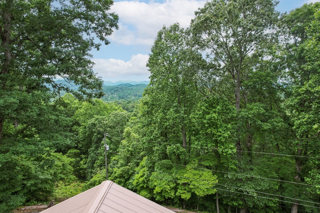 220 Bear Mountain Road