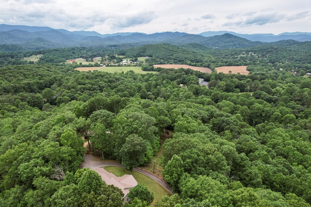 220 Bear Mountain Road