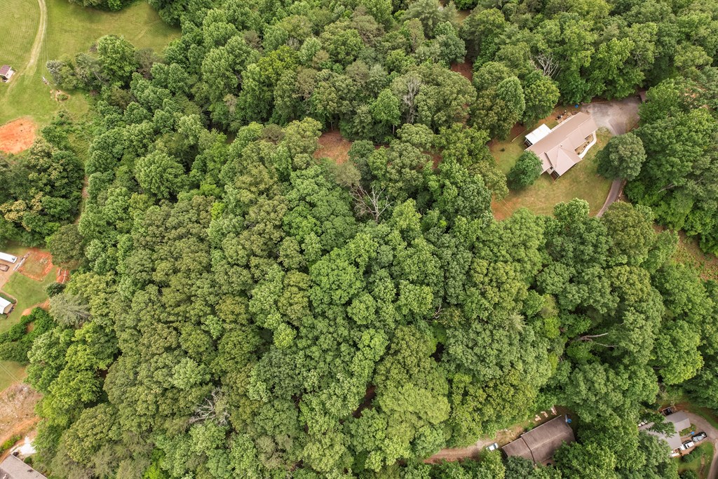 220 Bear Mountain Road