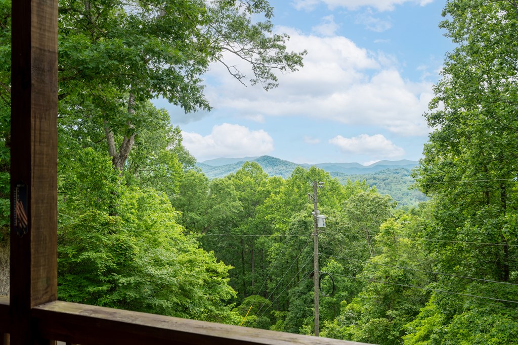 220 Bear Mountain Road