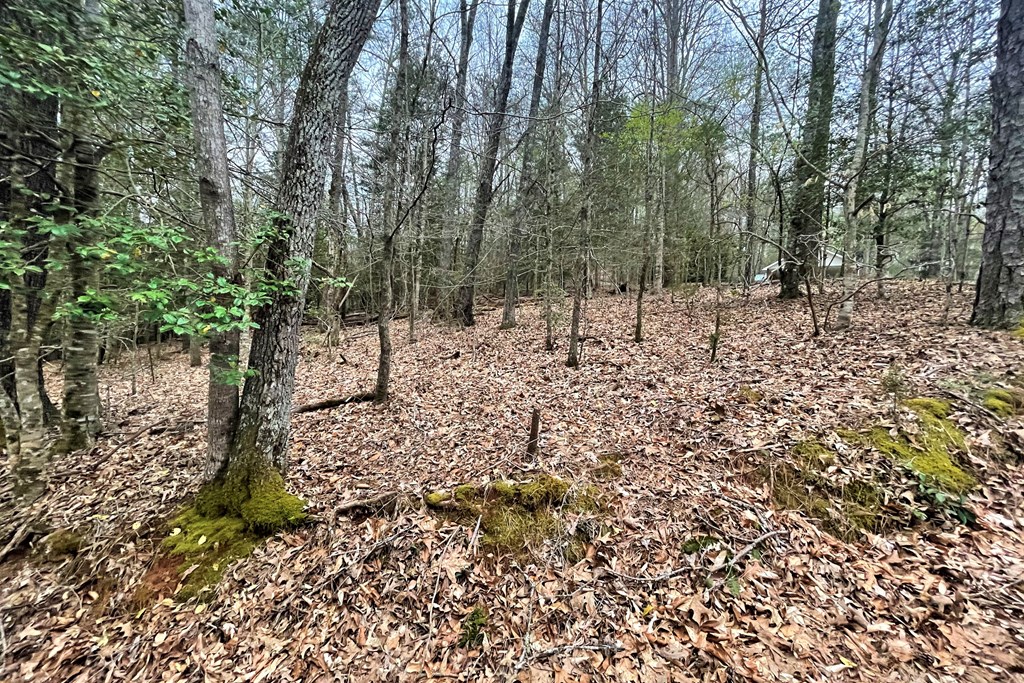 220 Bear Mountain Road