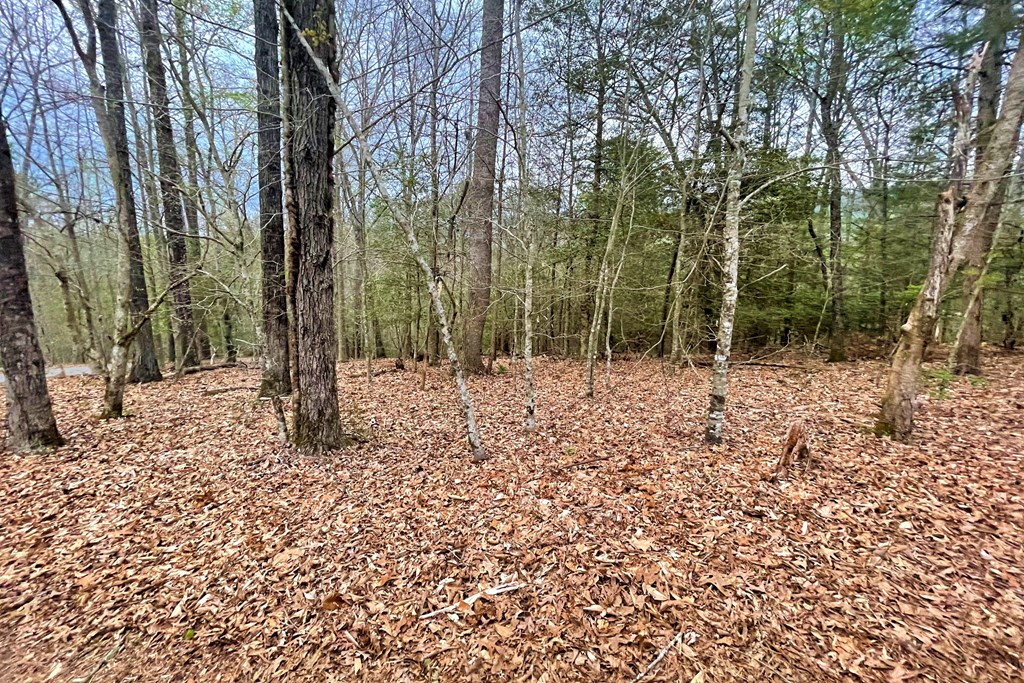 220 Bear Mountain Road