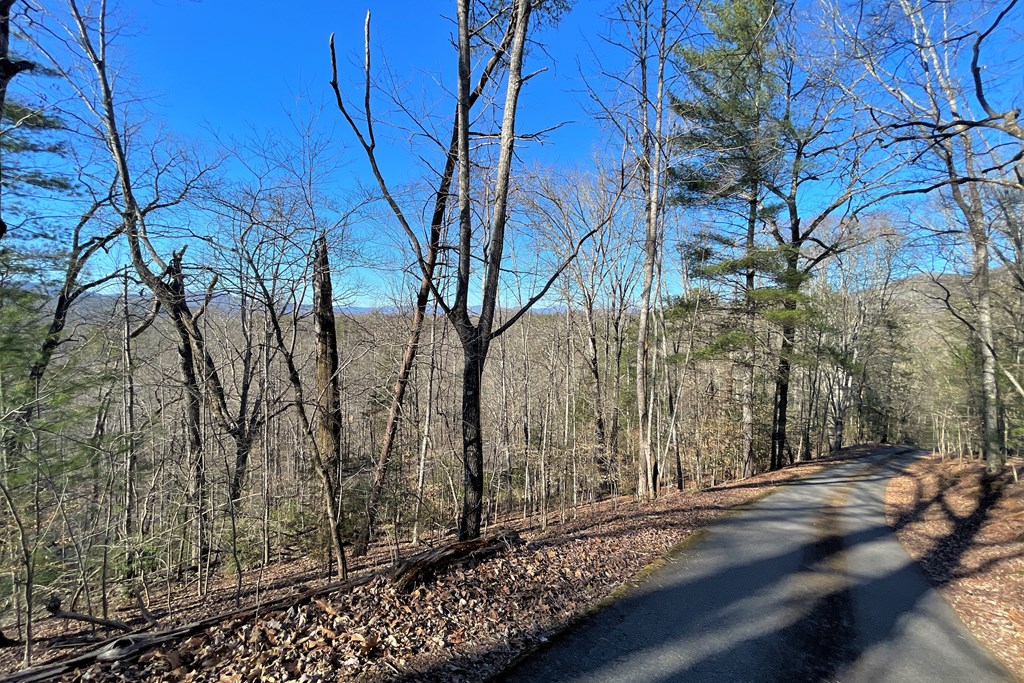 220 Bear Mountain Road