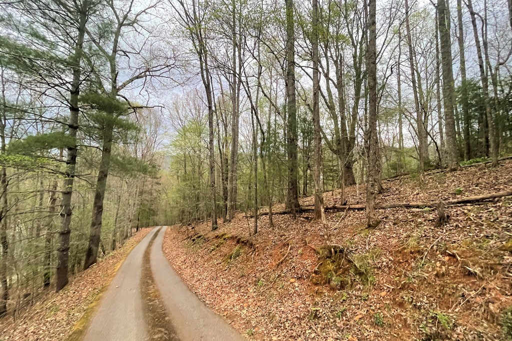220 Bear Mountain Road