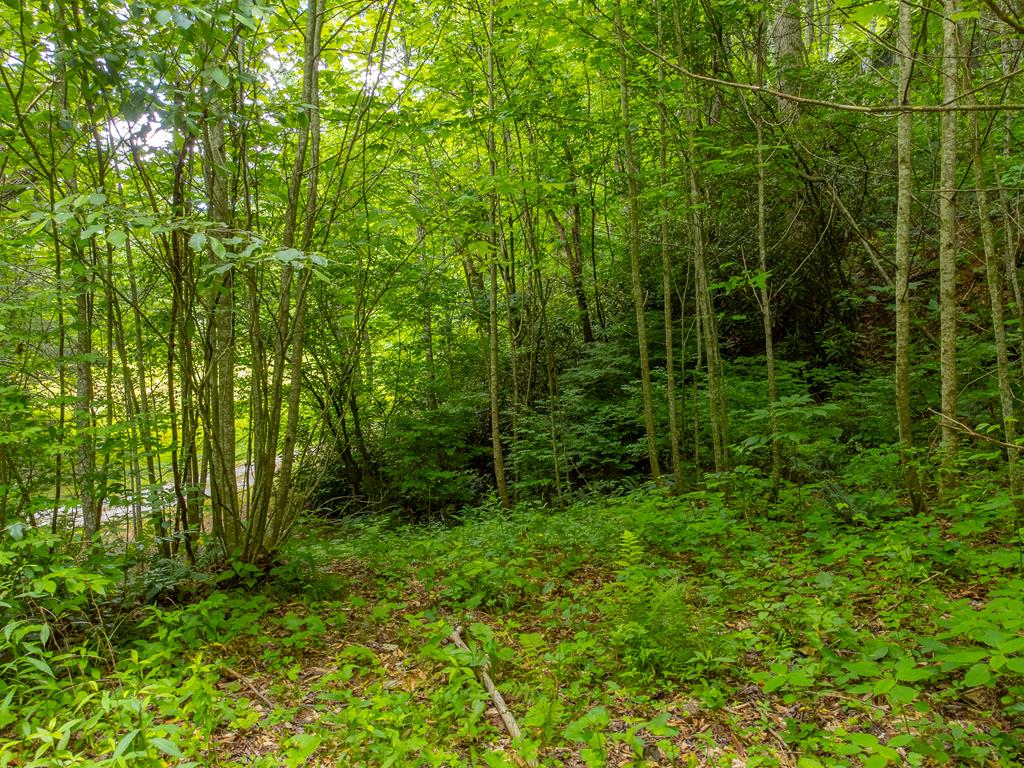 2177 Buck Creek Road