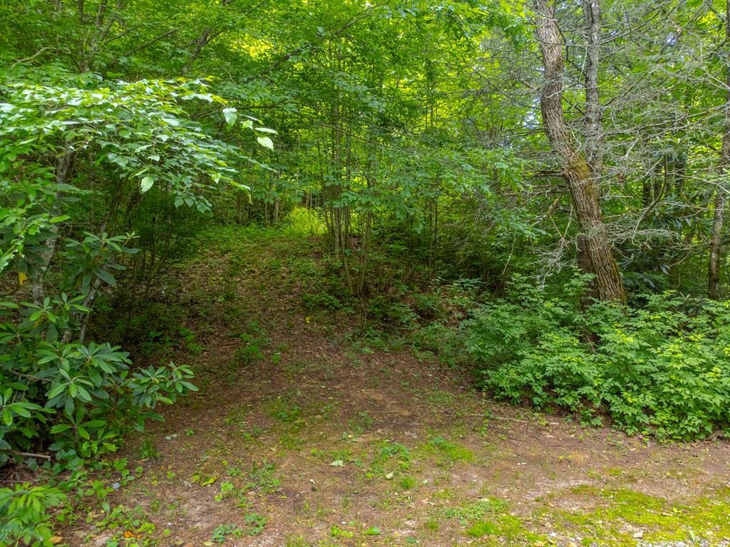 2177 Buck Creek Road