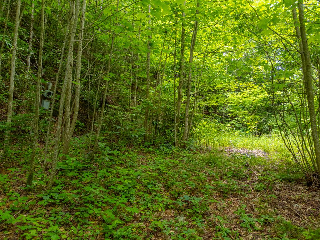 2177 Buck Creek Road