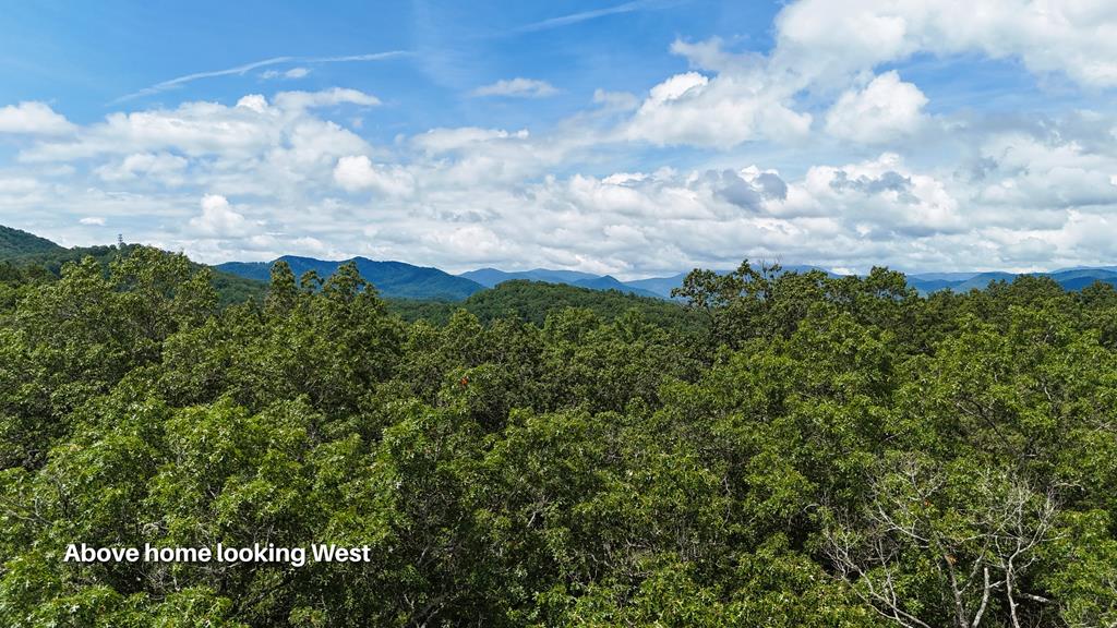 159 Silver Spruce Ln, Franklin