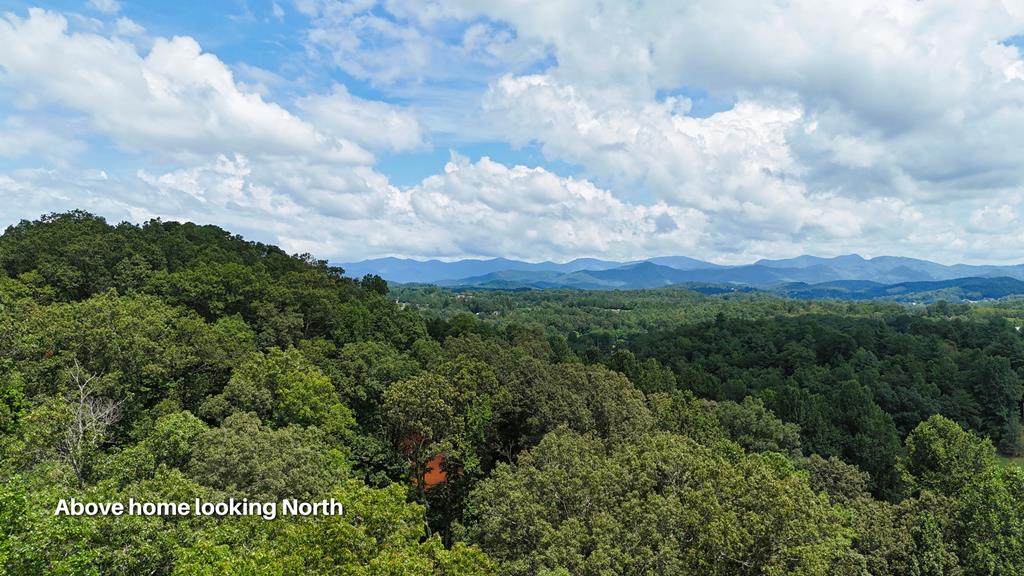 159 Silver Spruce Ln, Franklin