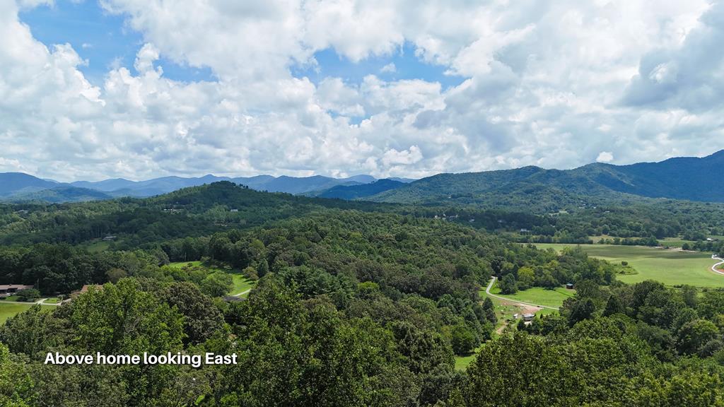 159 Silver Spruce Ln, Franklin