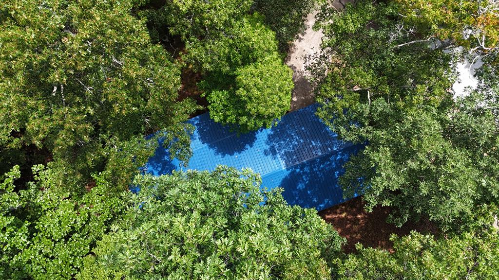 159 Silver Spruce Ln, Franklin