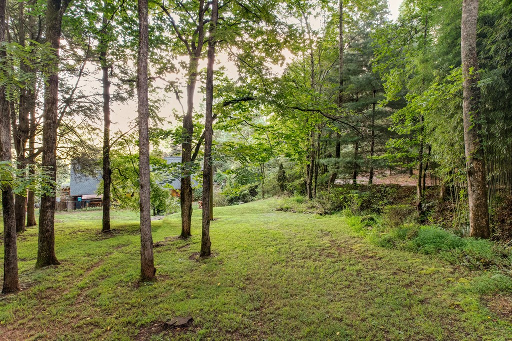 267 Turkey Pen Road