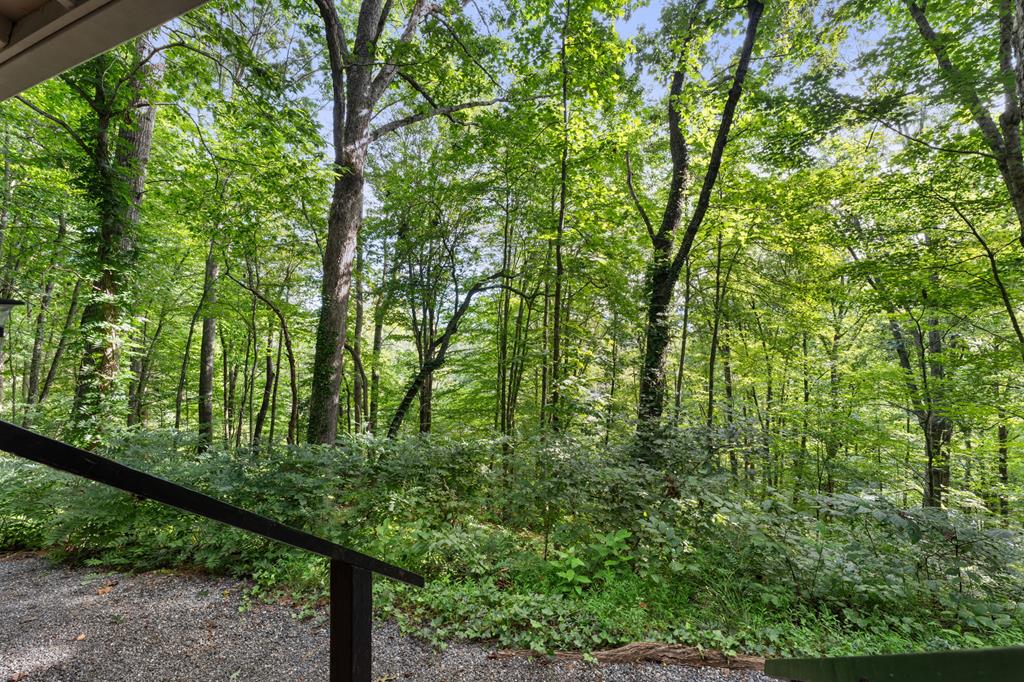155 Cullasaja Hollow Rd