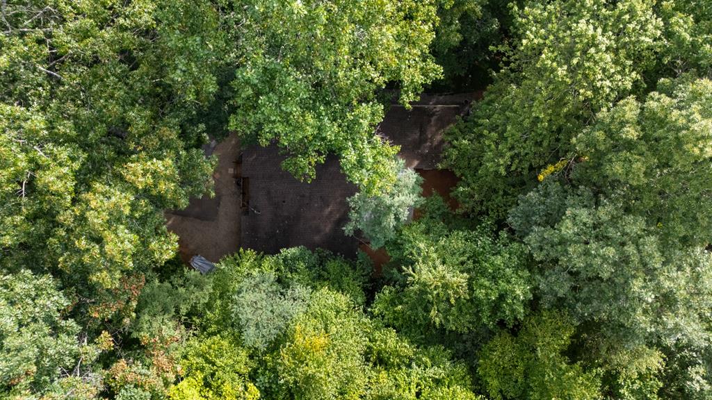 155 Cullasaja Hollow Rd