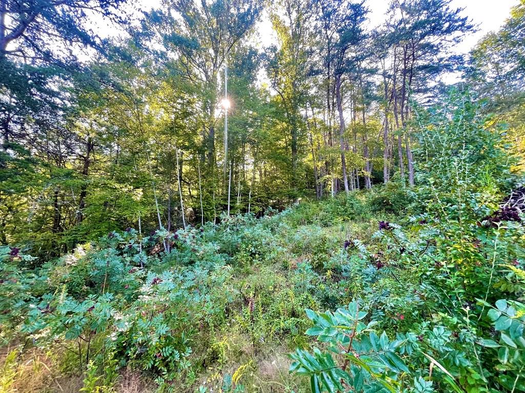 Lot 38 Brookstone Mountain Trail