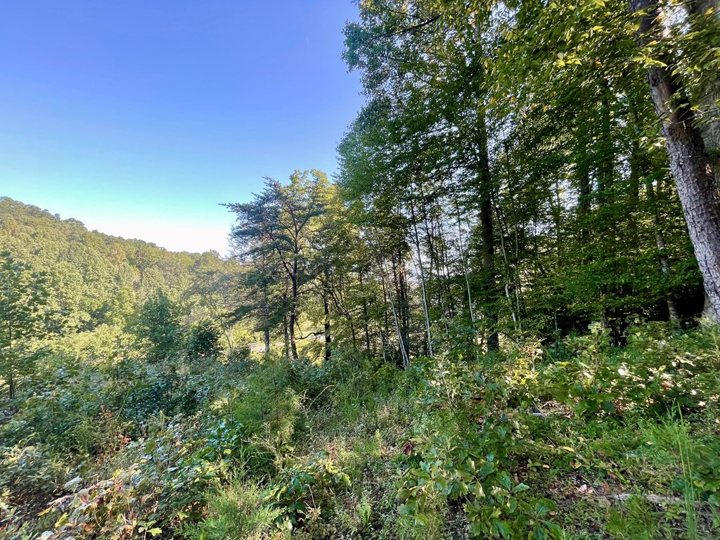 Lot 38 Brookstone Mountain Trail