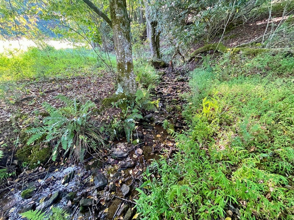 Lot 38 Brookstone Mountain Trail