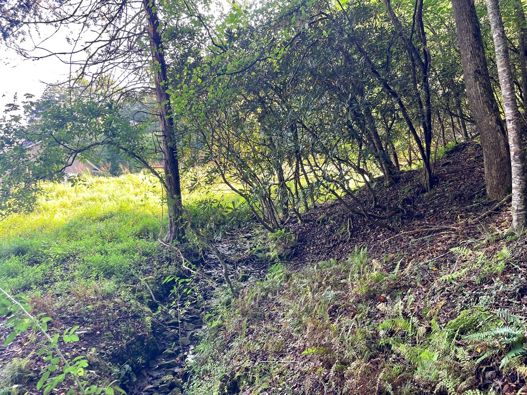 Lot 38 Brookstone Mountain Trail