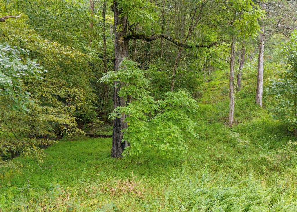 Lot 38 Brookstone Mountain Trail