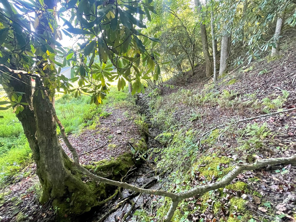 Lot 38 Brookstone Mountain Trail