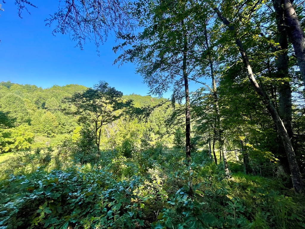 Lot 38 Brookstone Mountain Trail