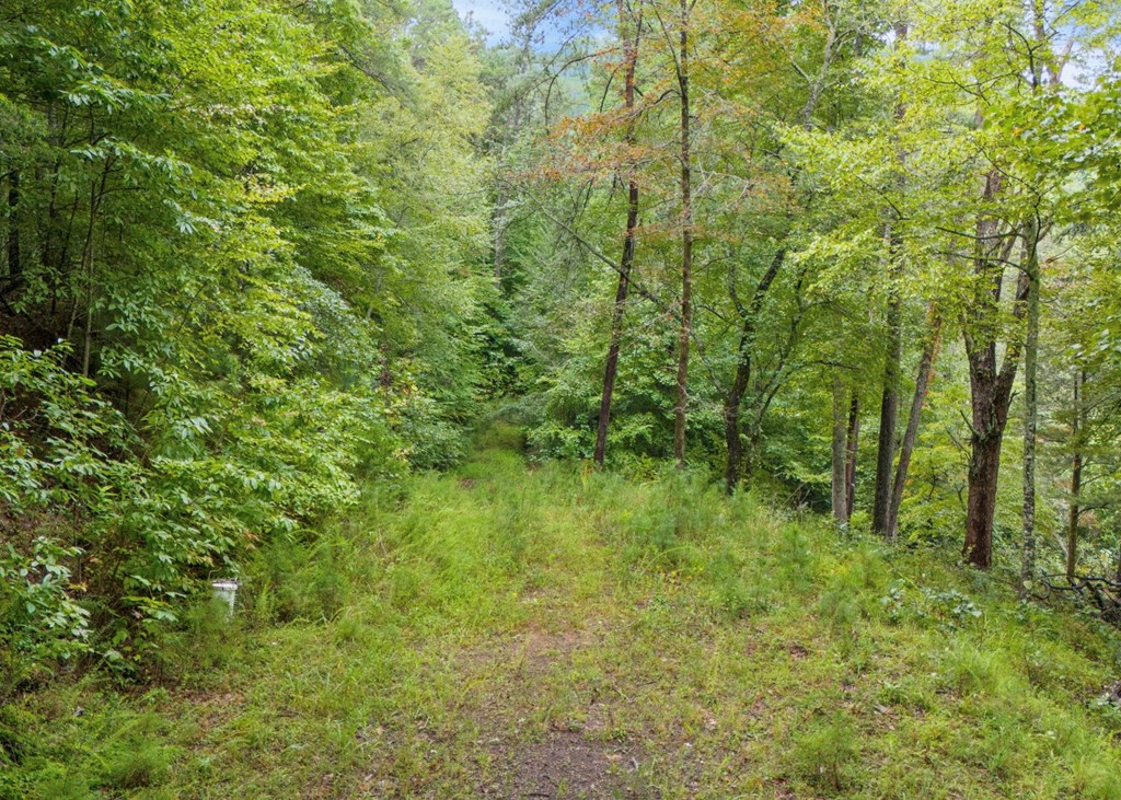 Lot 39 Brookstone Vista Lane