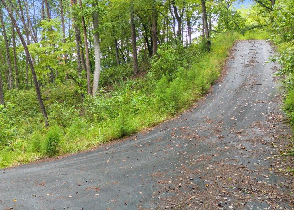 Lot 39 Brookstone Vista Lane