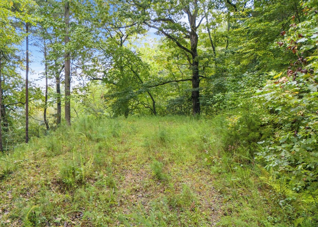 Lot 39 Brookstone Vista Lane