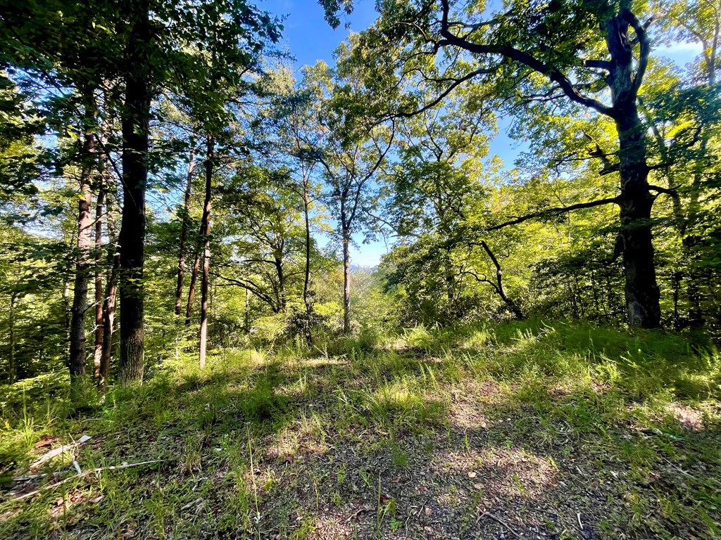 Lot 39 Brookstone Vista Lane