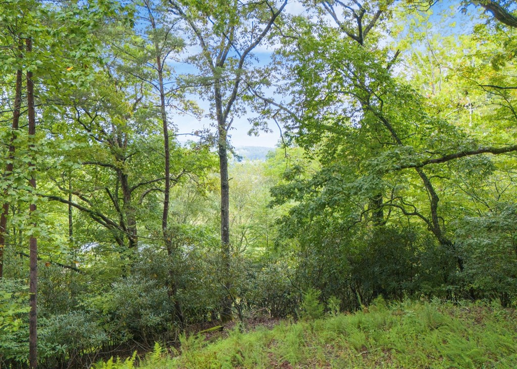 Lot 39 Brookstone Vista Lane