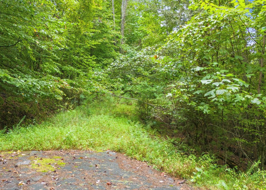 Lot 40 Brookstone Vista Lane