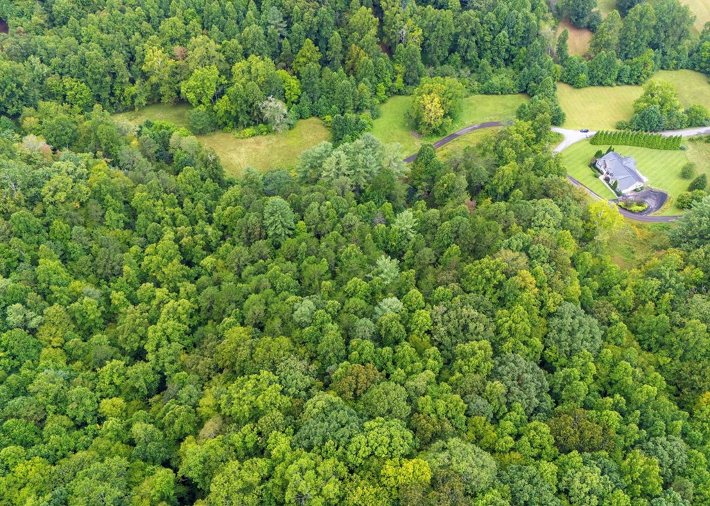 Lot 40 Brookstone Vista Lane