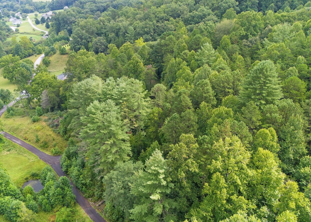 Lot 40 Brookstone Vista Lane