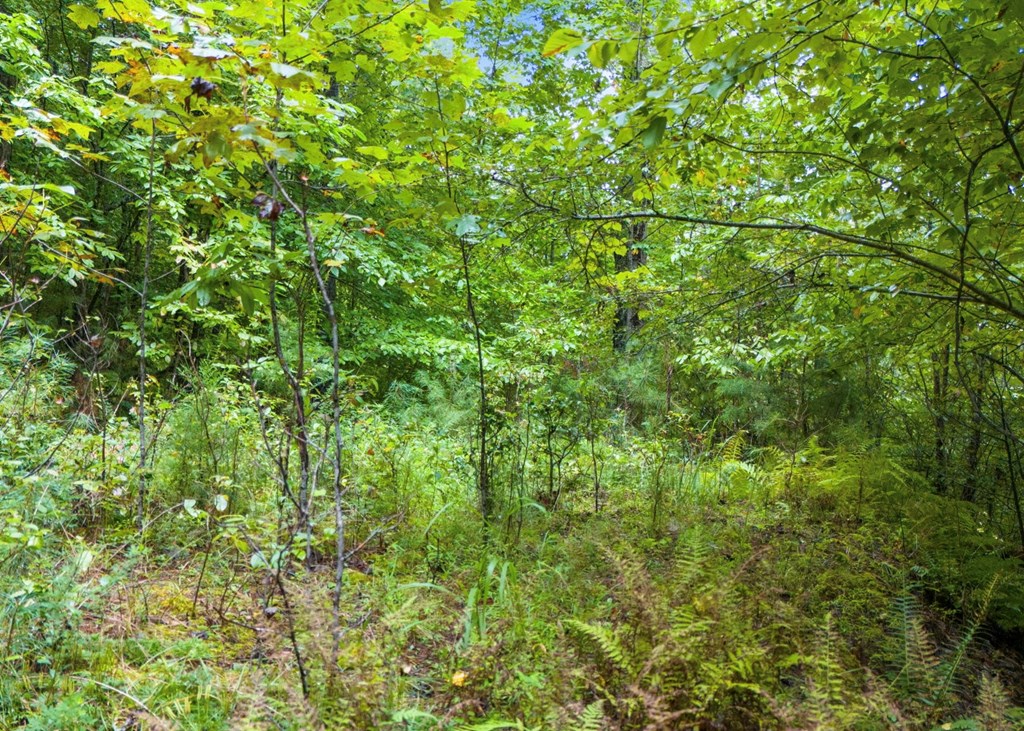 Lot 40 Brookstone Vista Lane