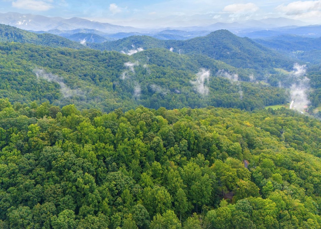 Lot 226 Young Cove Road